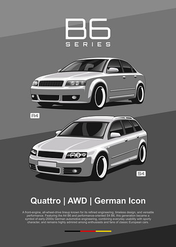 Audi B6 Series