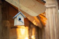 Maison d'oiseaux dans une cabane