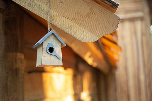 Maison d'oiseaux dans une cabane