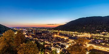 Oude binnenstad en oude brug in Heidelberg bij nacht van Werner Dieterich