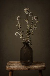 La coccinelle perdue - nature morte