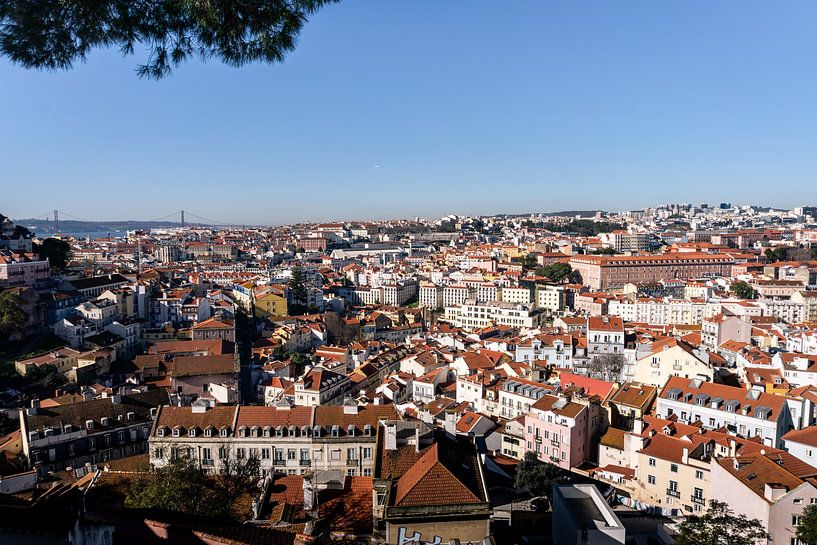 Largo da Graça von Ryan van Pelt