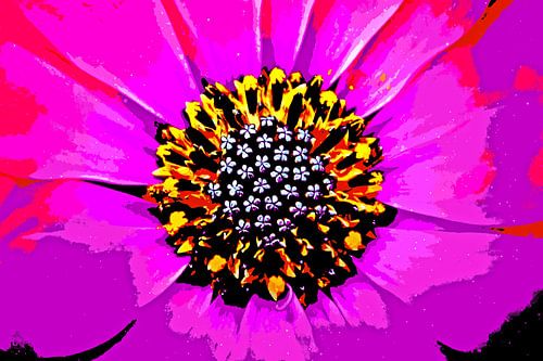 eine pink Kapkörbchen Blüte mixed media