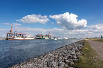 Containerterminal in de haven van Rotterdam met 2 containerschepen van Rick Van der Poorten