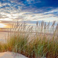 Bilder im Schlafzimmer