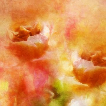 rozen 2020 van Andreas Wemmje
