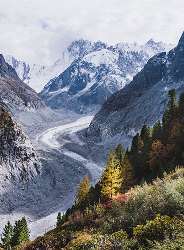 Paysage de glacier avec des couleurs d'automne