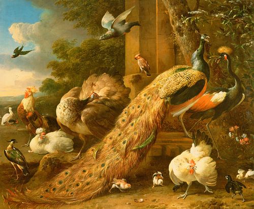 Pfau, Wellensittich, Pelikan, Kranich und Geflügel, Melchior d'Hondecoeter