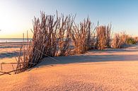 Setting sun on the beach by Tiny Dekker thumbnail