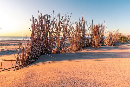 Setting sun on the beach