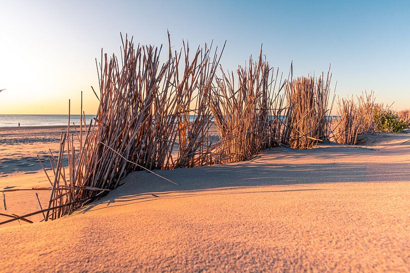 Setting sun on the beach by Tiny Dekker