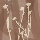 Abstracte retro botanische kunst in bruin en wit. van Dina Dankers thumbnail