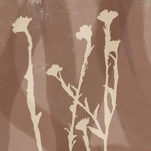 Abstracte retro botanische kunst in bruin en wit.