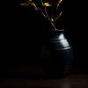Magnolia's Mysterie van Maarten Knops