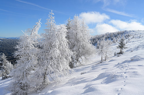 Paysage de montagne enneigé sous le soleil matinal, avec des arbres recouverts de neige et un ciel bleu