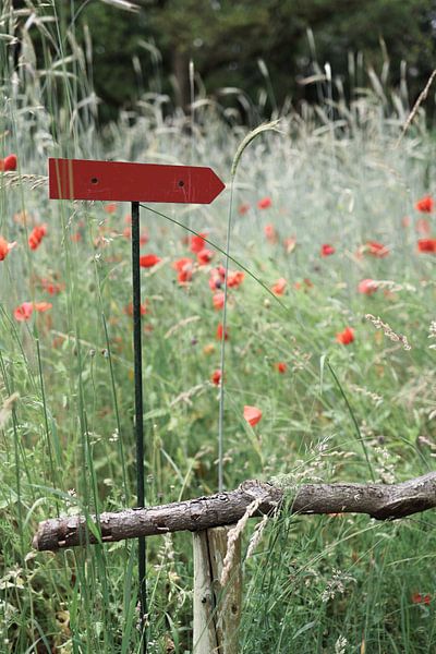 Rood bordje in het gras van Lisette Marije