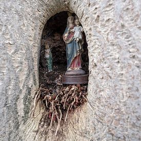 Maria met Jezus in een boom van Wouter Bos