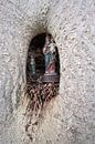 Maria met Jezus in een boom von Wouter Bos Miniaturansicht
