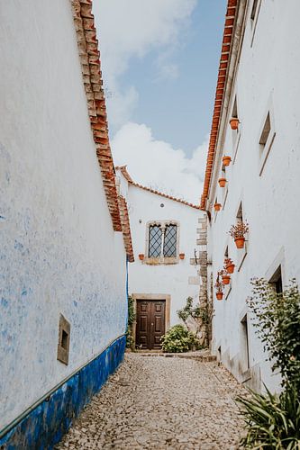 Alley in Portugal