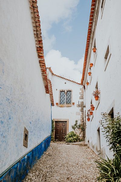 Allée au Portugal par FotoMariek