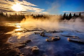 Warmth in the Golden Light