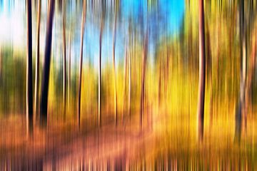 Sonnige, herbstliche Poesie des Kiefernwaldes - Abstraktion