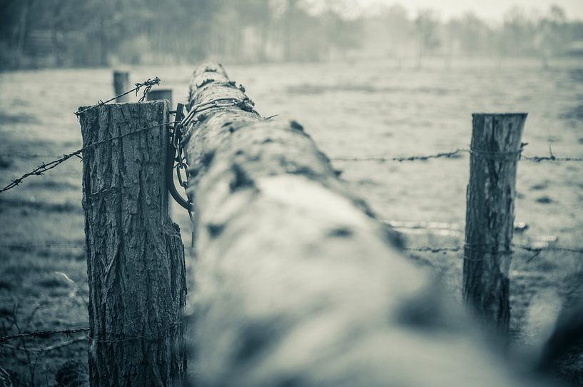 Dead end par Geert-Jan Timmermans