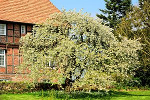 Frühjahr auf Gut Brodau