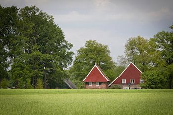 farm