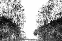 Ondoorgrondelijke natuur