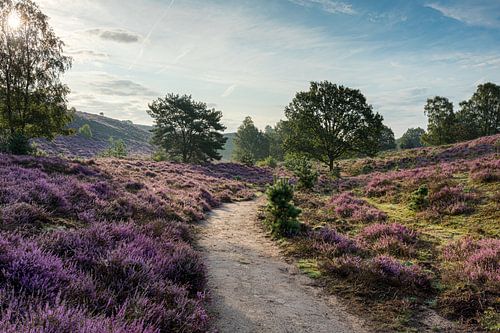 Posbank en een vleugje mist