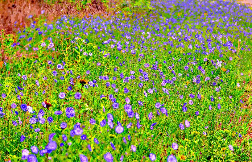 Blumenwiese von Leopold Brix