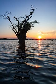 Laguna grande (Amazone Ecuador)