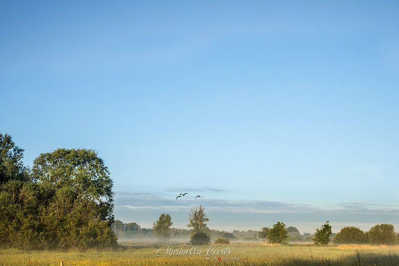 Morning glow by Marinella Geerts