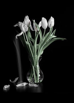 Vallende blad van witte tulpen van Jefra Creations