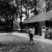 Fenne Verhalle Profilfoto