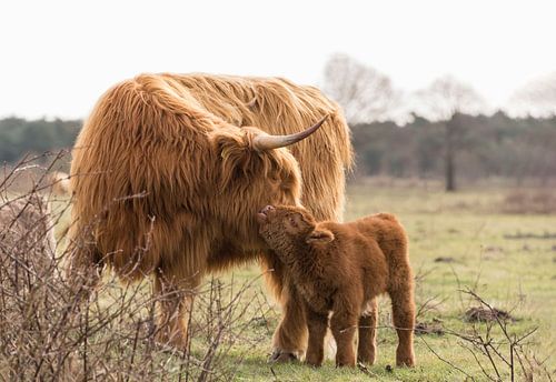 Knuffel tussen moeder en kind