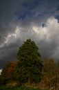 Contrast by EnWout thumbnail