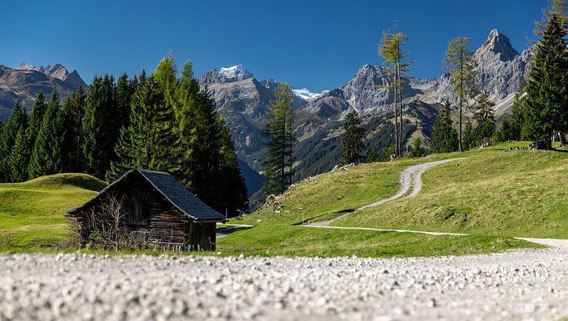 Hiking trail Bartholomäberg on a Maisäßlandschaft in Montafon by Ralf van de Veerdonk