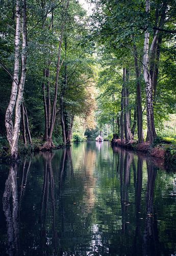 Waterreflectie in het Spreewald