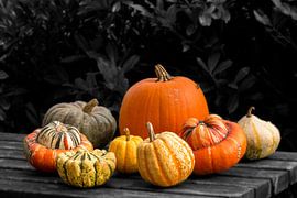 Herfsttafel by Anneke Wapstra