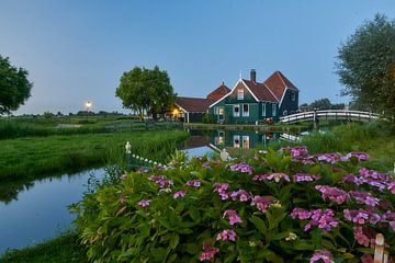 Evening at the Zaanse Schans, with Hortensia by Ad Jekel