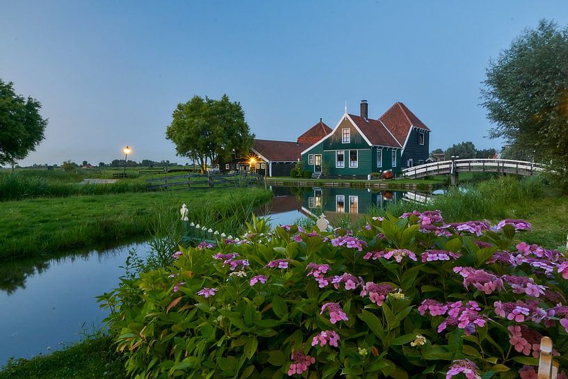 Abend in der Zaanse Schans, mit Hortensia von Ad Jekel