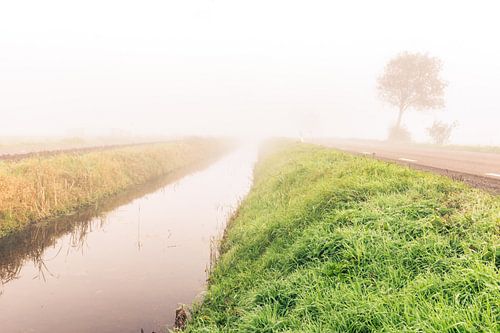 Langs de weg