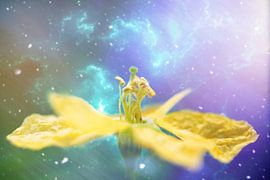 ruimte geel van Ribbi