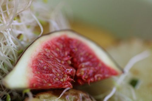 Fig