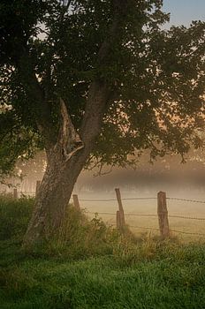 Sonnenaufgang über den Rieselfeldern in Münster