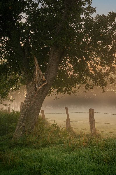 Sunrise over the Rieselfelder fields in Münster by Thorsten Wind