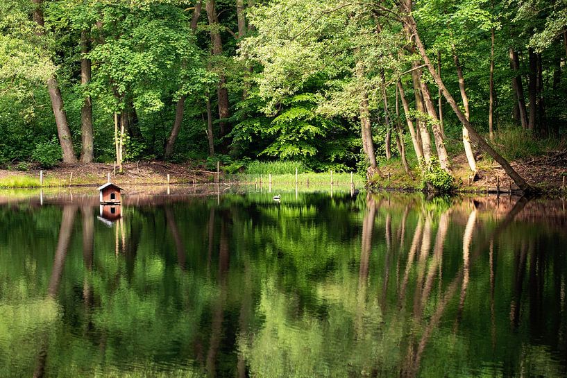 TRITTAU Mühlenteich - duck house by Bernd Hoyen