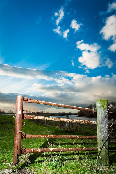 Rusty iron fence by Arie Mastenbroek